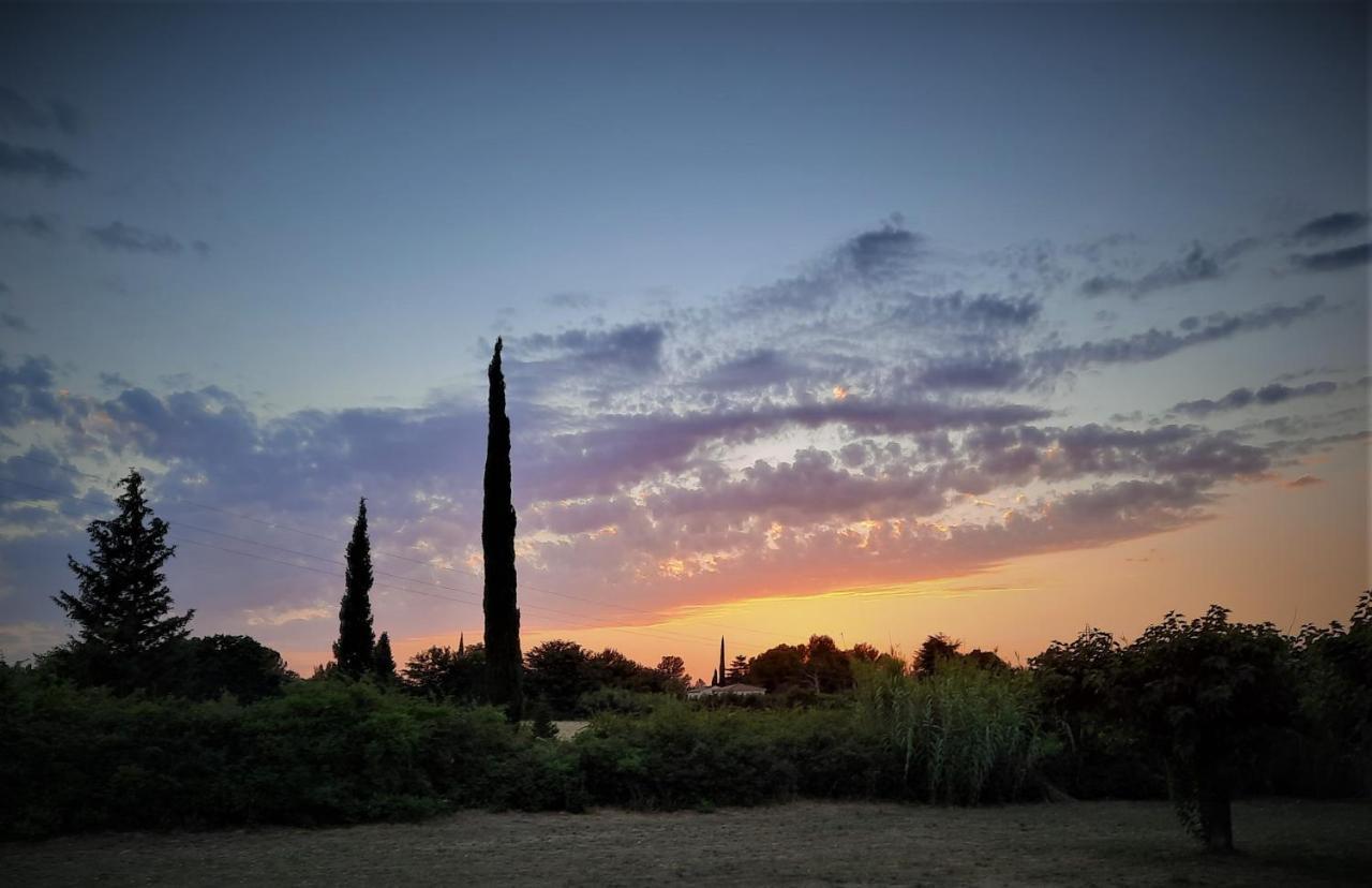 La Maison du Chemin des Prairies Morieres-les-Avignon Extérieur photo